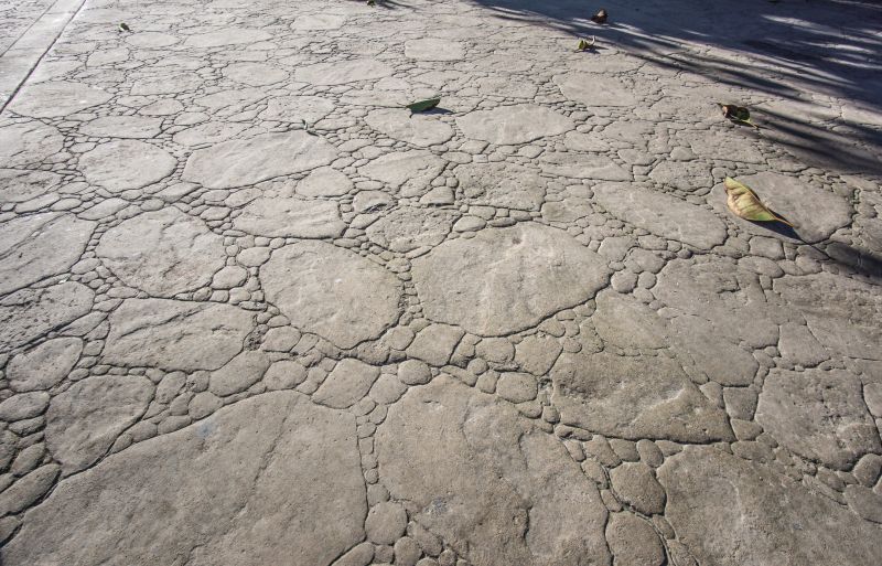 Decorative Concrete Repair in Pearland, TX