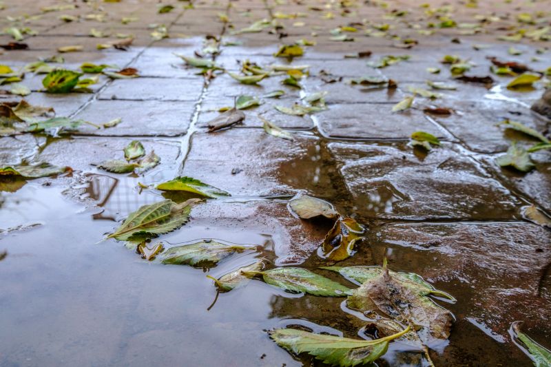 Decorative Concrete Repair in Everett, WA