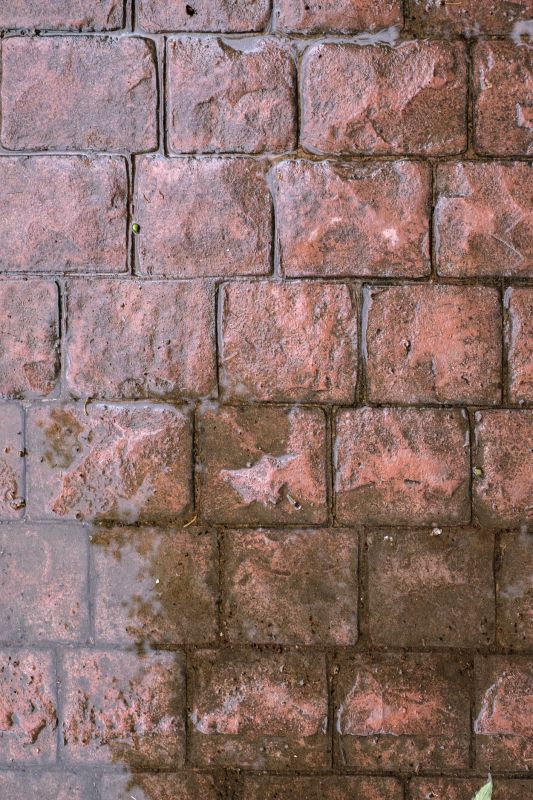 Decorative Concrete Repair in Phoenix, AZ