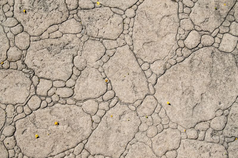 Decorative Concrete Repair in Mesa, AZ